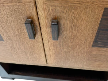 Art Deco Modernist Cabinet by 't Woonhuys Amsterdam, 1920s